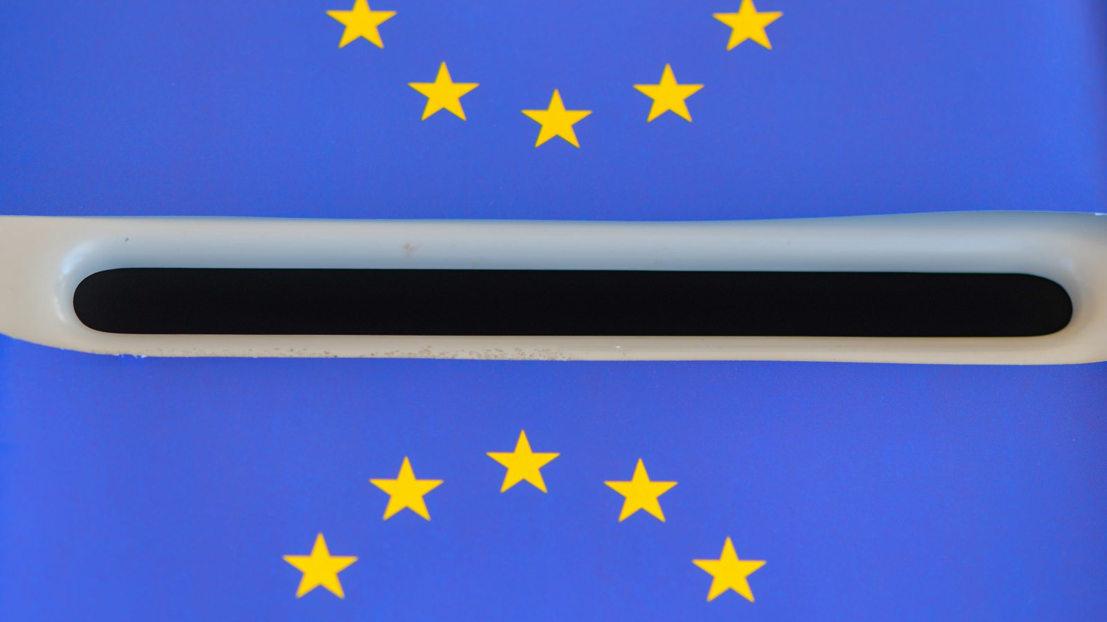 2024 Avrupa Seçimleri: Berlin'in ilçelerinde durum nasıl oldu?, © dpa