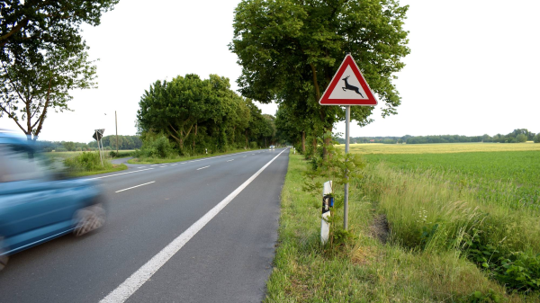 Warnung vor Wildwechsel, © LuHie, SHutterstock