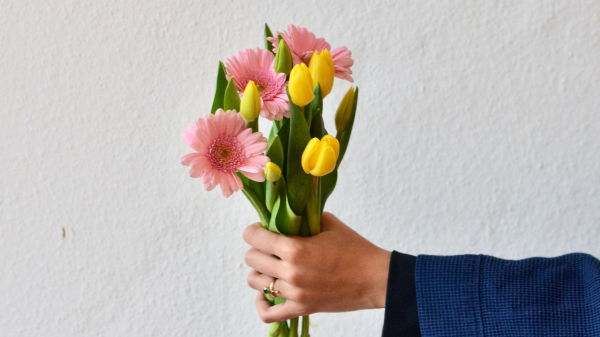 Campaign mit Interactions erstellen, © Skylar Kang