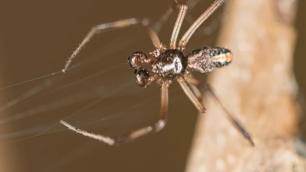 © Zoo Basel © Zoo Basel