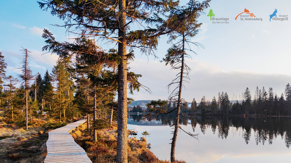 Euer Herz im Harz: Campen in Braunlage, Sankt Andreasberg und Hohegeiß