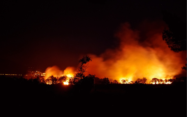 Schaffhausen ruft Waldbrandgefahrenstufe 4 aus