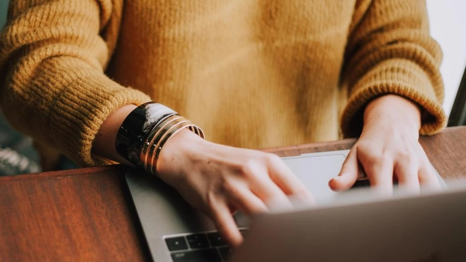 Symbolbild Onlinebetrug, © Quelle: SHPOL