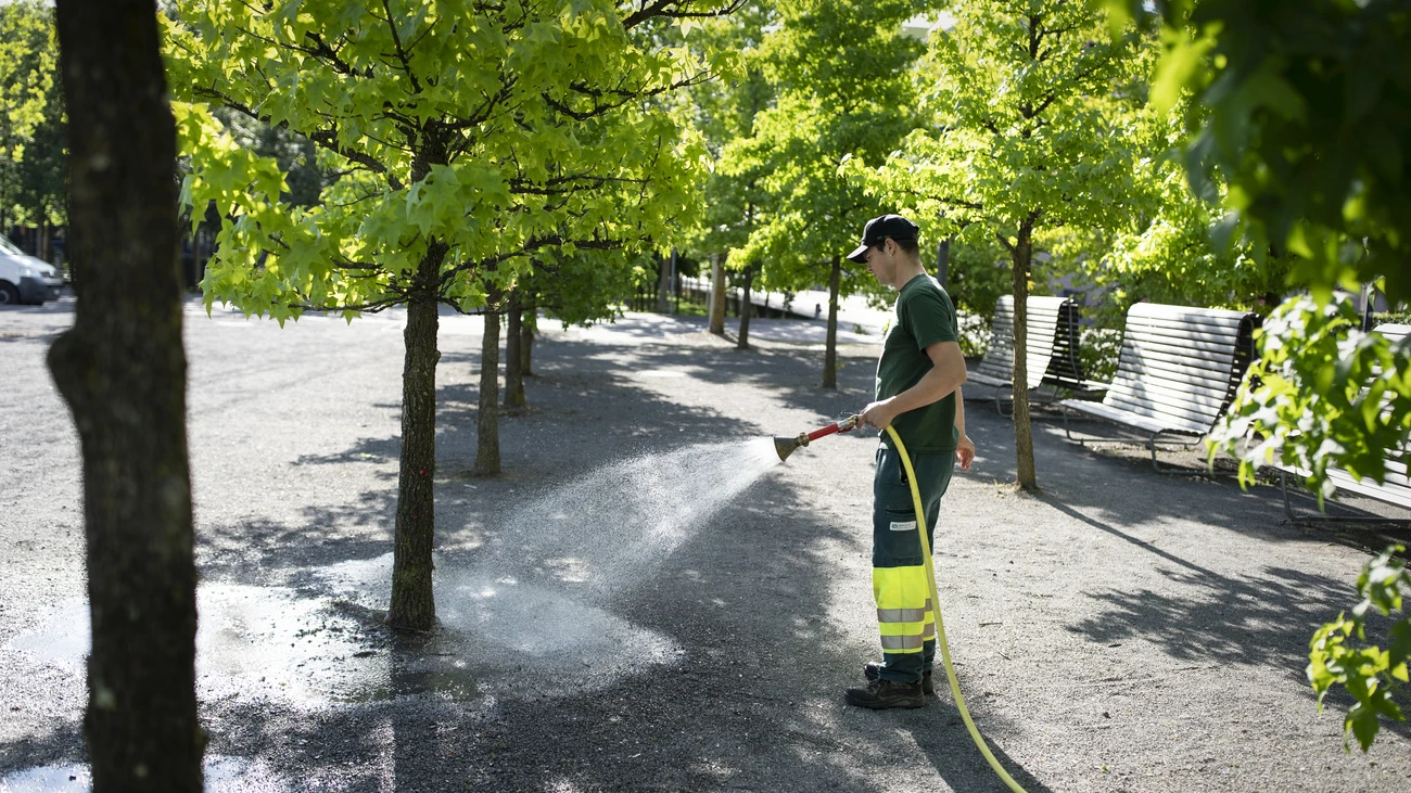 Zürich Abstimmung Grün Bäume Pflanzen Klima, © Keystone-SDA Zürich Abstimmung Grün Bäume Pflanzen Klima, © Keystone-SDA