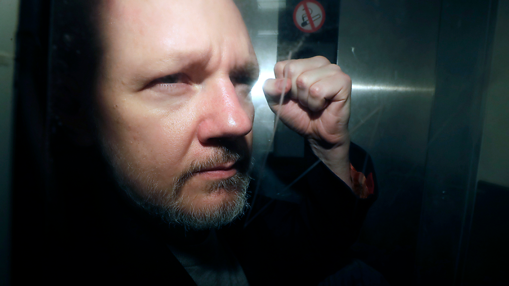 Menschenrechtler fordern Assanges Freilassung, © Matt Dunham/AP/dpa