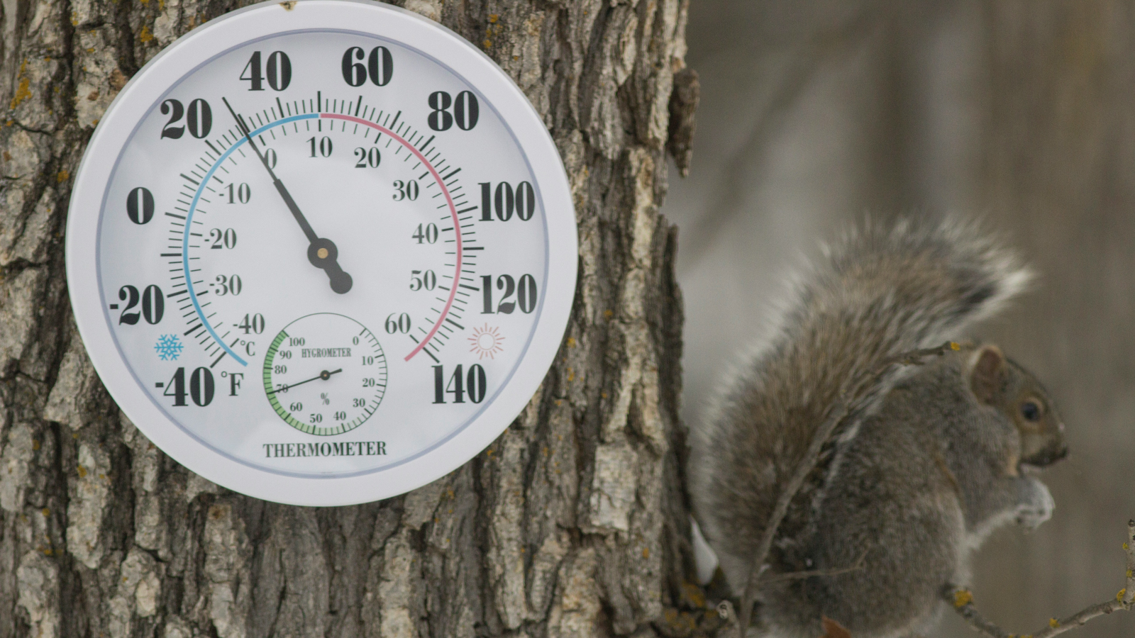 Erde erlebt wärmsten je gemessenen Januar, © Unsplash / Gary Fultz