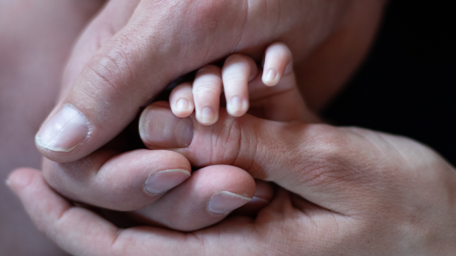 Italiens Bevölkerung schrumpft weiter, © Unsplash / Zachery Perry