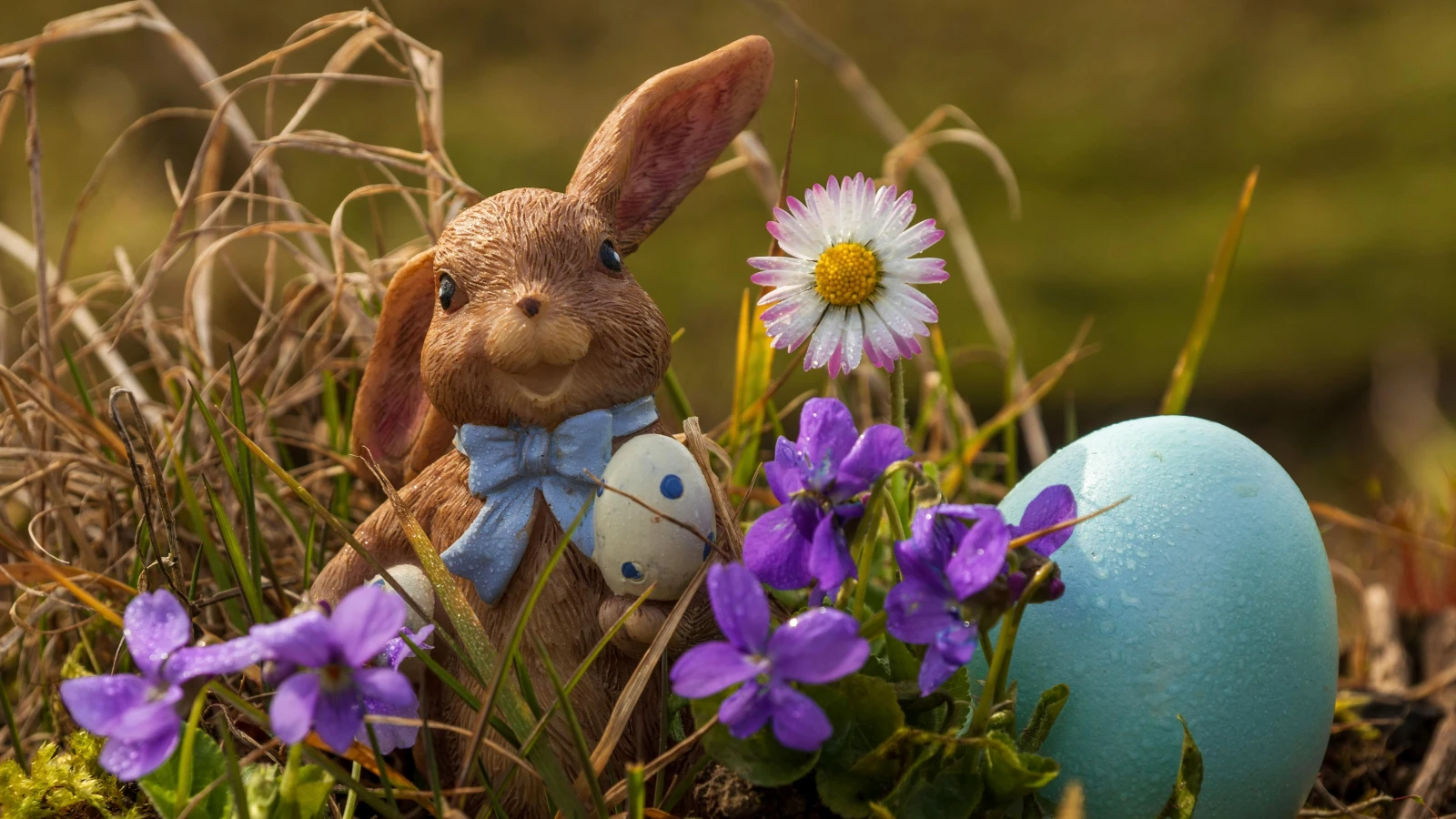Wer hat den besten Schoggi-Osterhasen der Region?, © Susanne Jutzeler, suju-foto Wer hat den besten Schoggi-Osterhasen der Region?, © Susanne Jutzeler, suju-foto