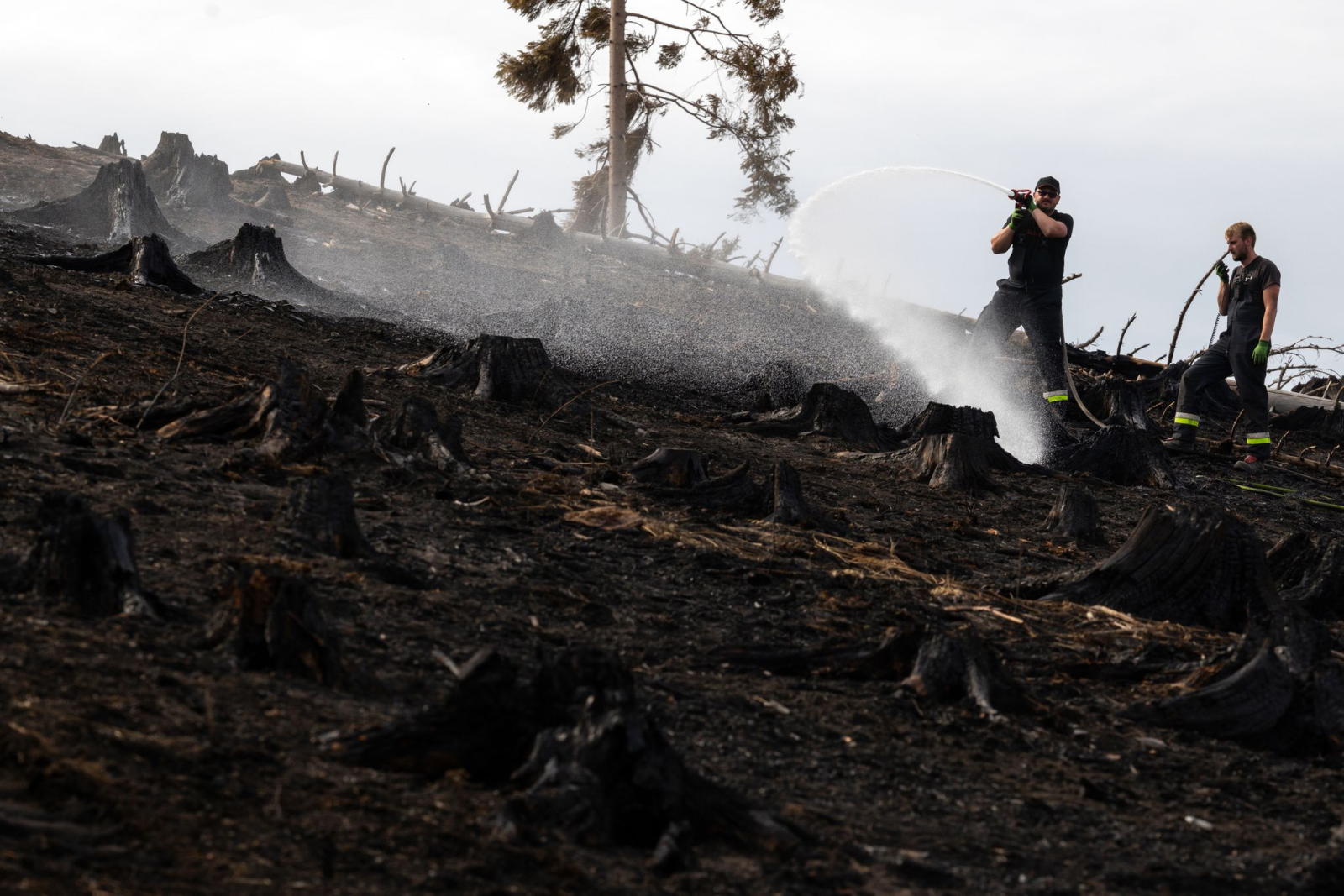 Nach und nach wird die Anzahl der Einsatzkräfte beim Waldbrand auf der Saalfelder Höhe reduziert. (Archivbild), © Michael Reichel/dpa