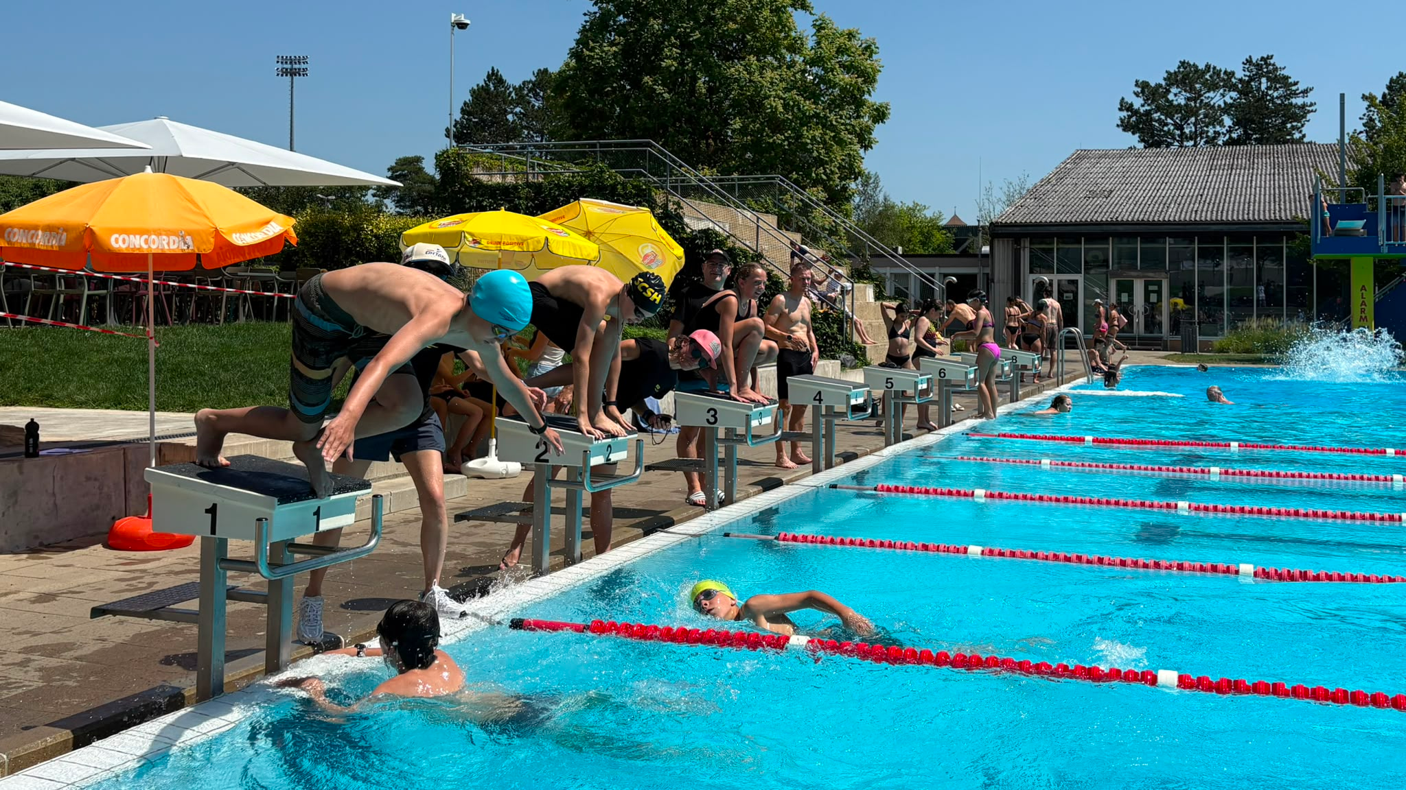 © Schaffhauser Schwimmclub