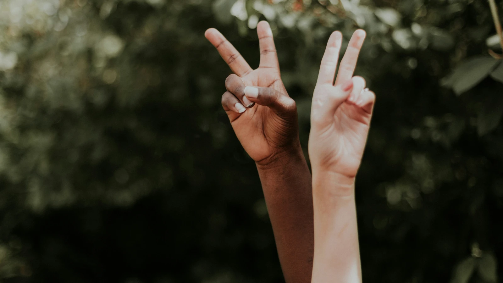 Rassismus-Vorfälle haben um 24 Prozent zugenommen, © Unsplash/Priscilla Du Preez Rassismus-Vorfälle haben um 24 Prozent zugenommen, © Unsplash/Priscilla Du Preez