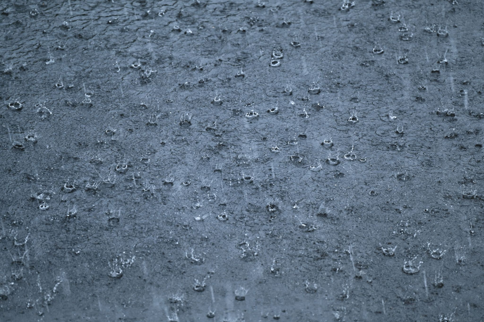 Regen prasselt während eines Gewitters auf eine Straße., © Arne Dedert/dpa/Symbolbild