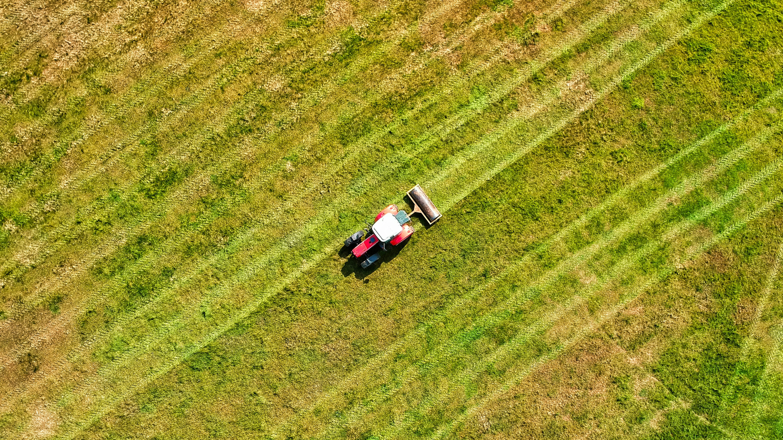 Bauernverband fordert höhere Preise, © Unsplash/Red Zeppelin 