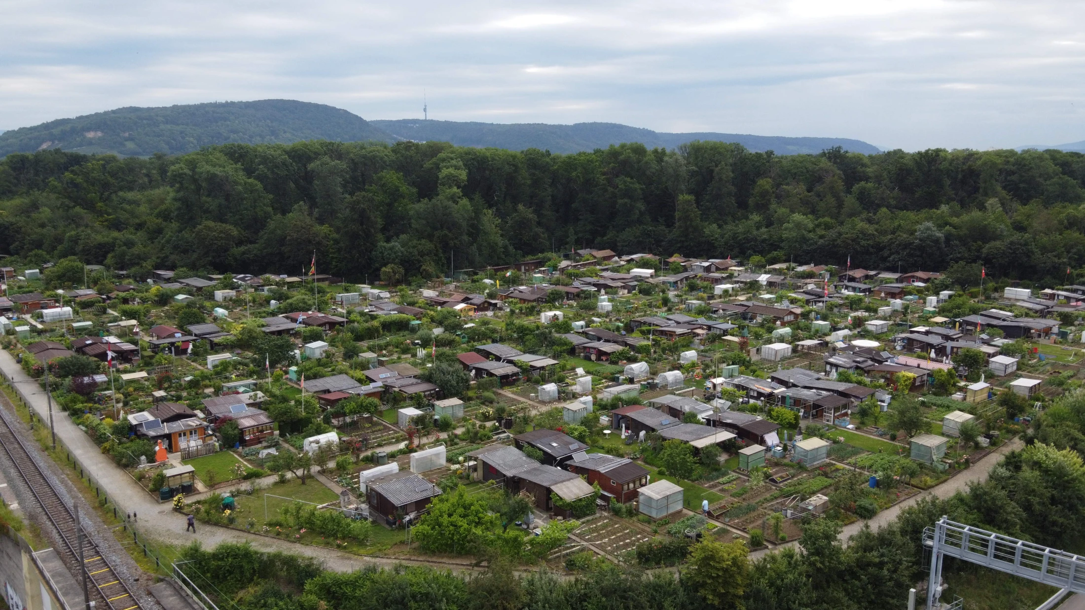 © fgv-birsfelden.ch © fgv-birsfelden.ch