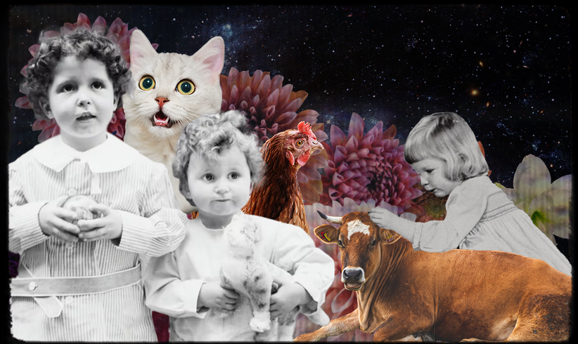 Wie spricht man mit Kindern über Tierwohl?, © Collage: egoFM