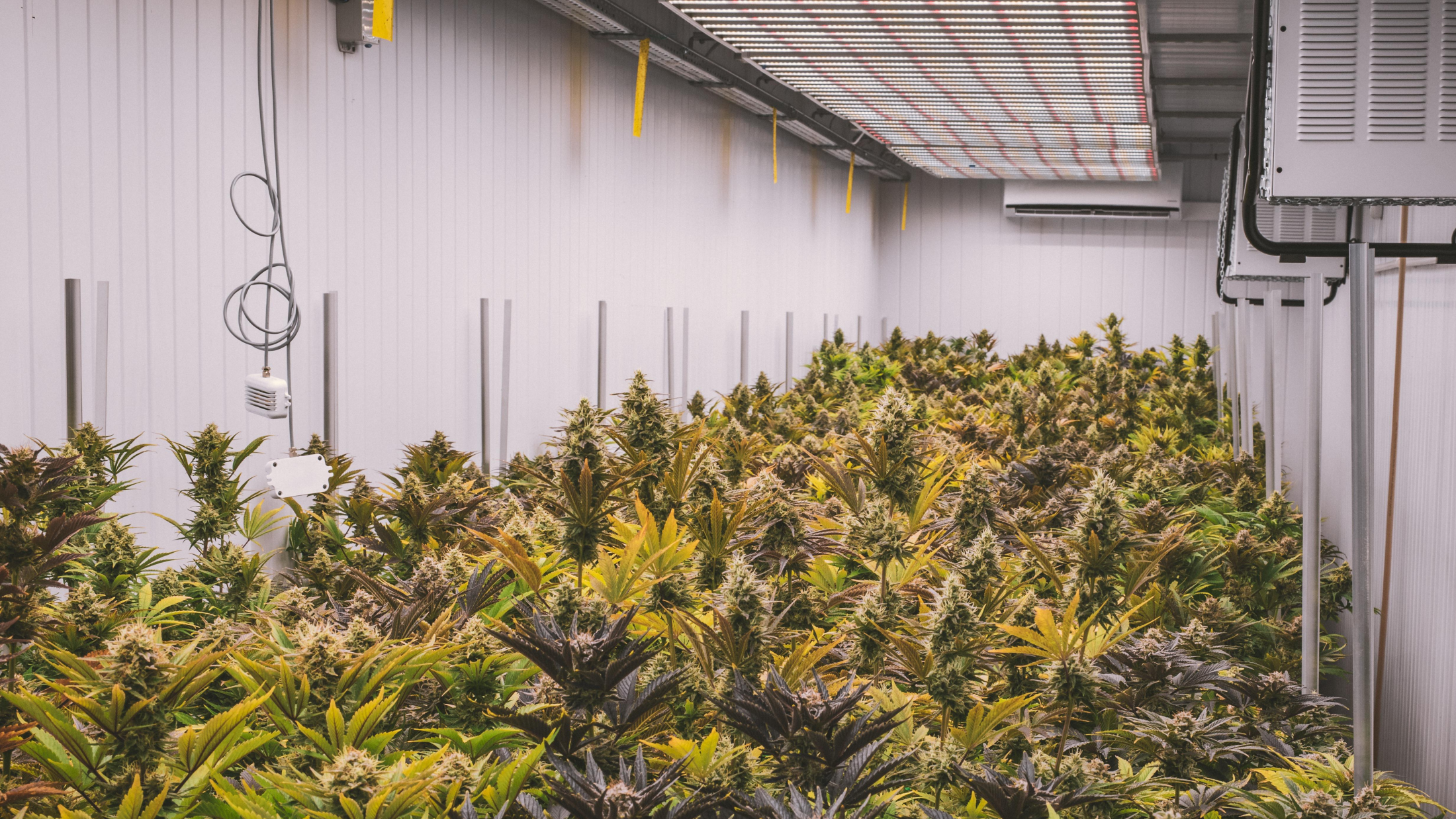 © Symbolbild, Quelle: Pixabay