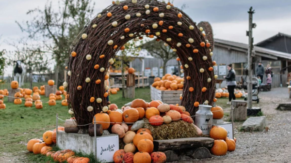 Kürbisausstellung Eintritt Seegräben Juckerfarm, © Jucker Farm AG