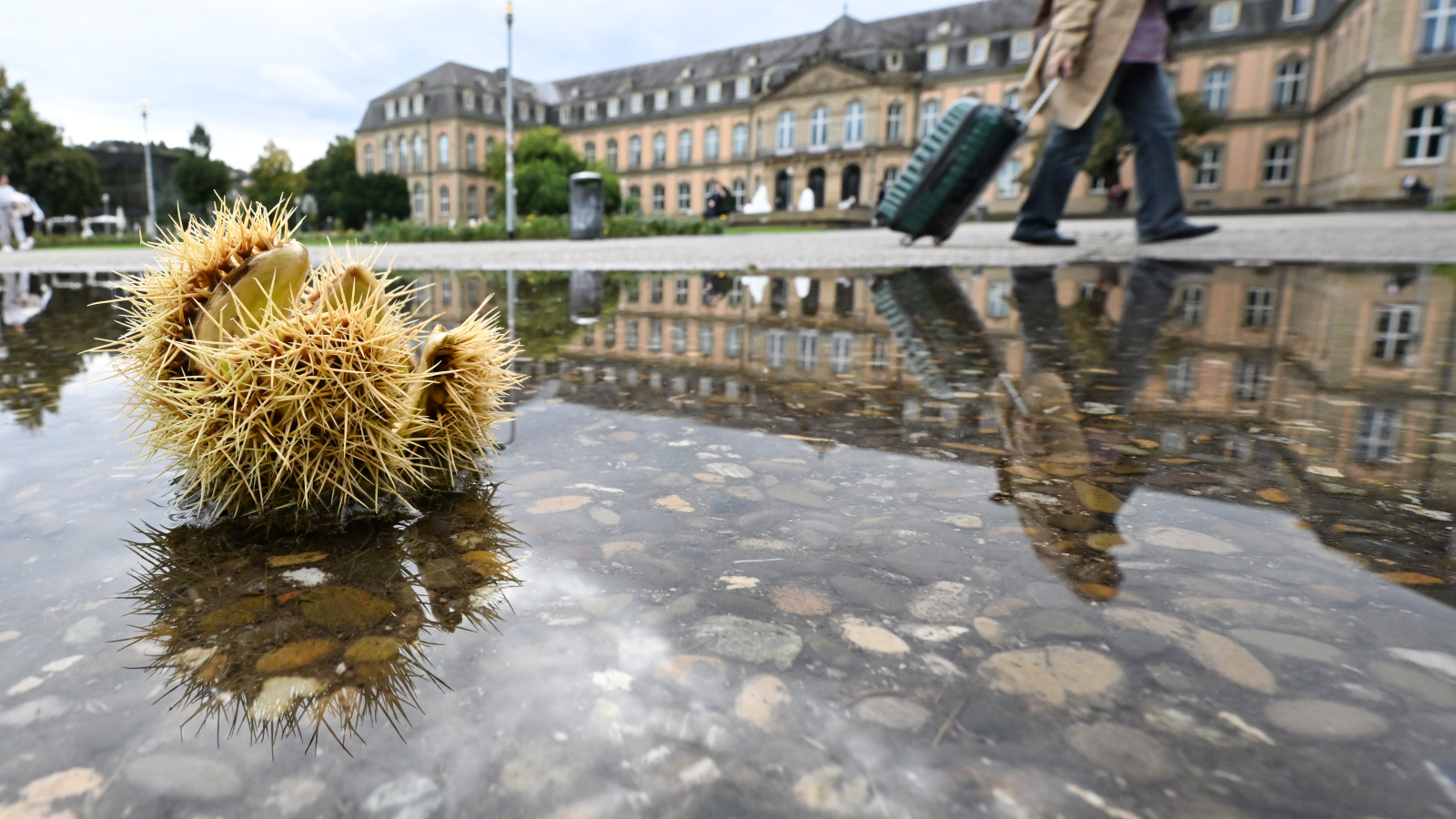 Yağmur Etkili Oldu!, © dpa