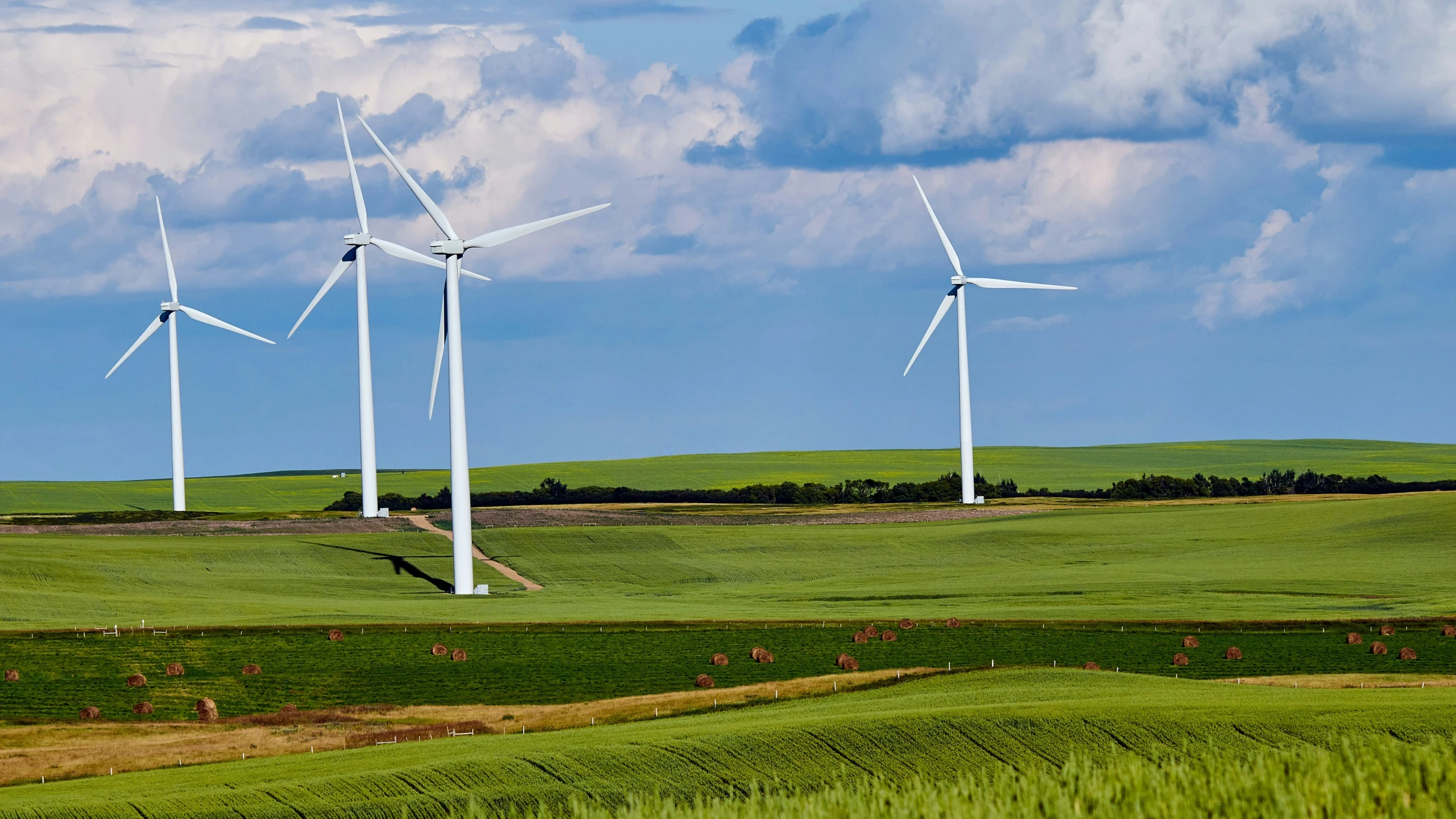 © Bild: Abby Anaday, Unsplash © Bild: Abby Anaday, Unsplash