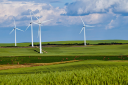 Über 250 Personen an Diskussion zur Windkraft im Weinland