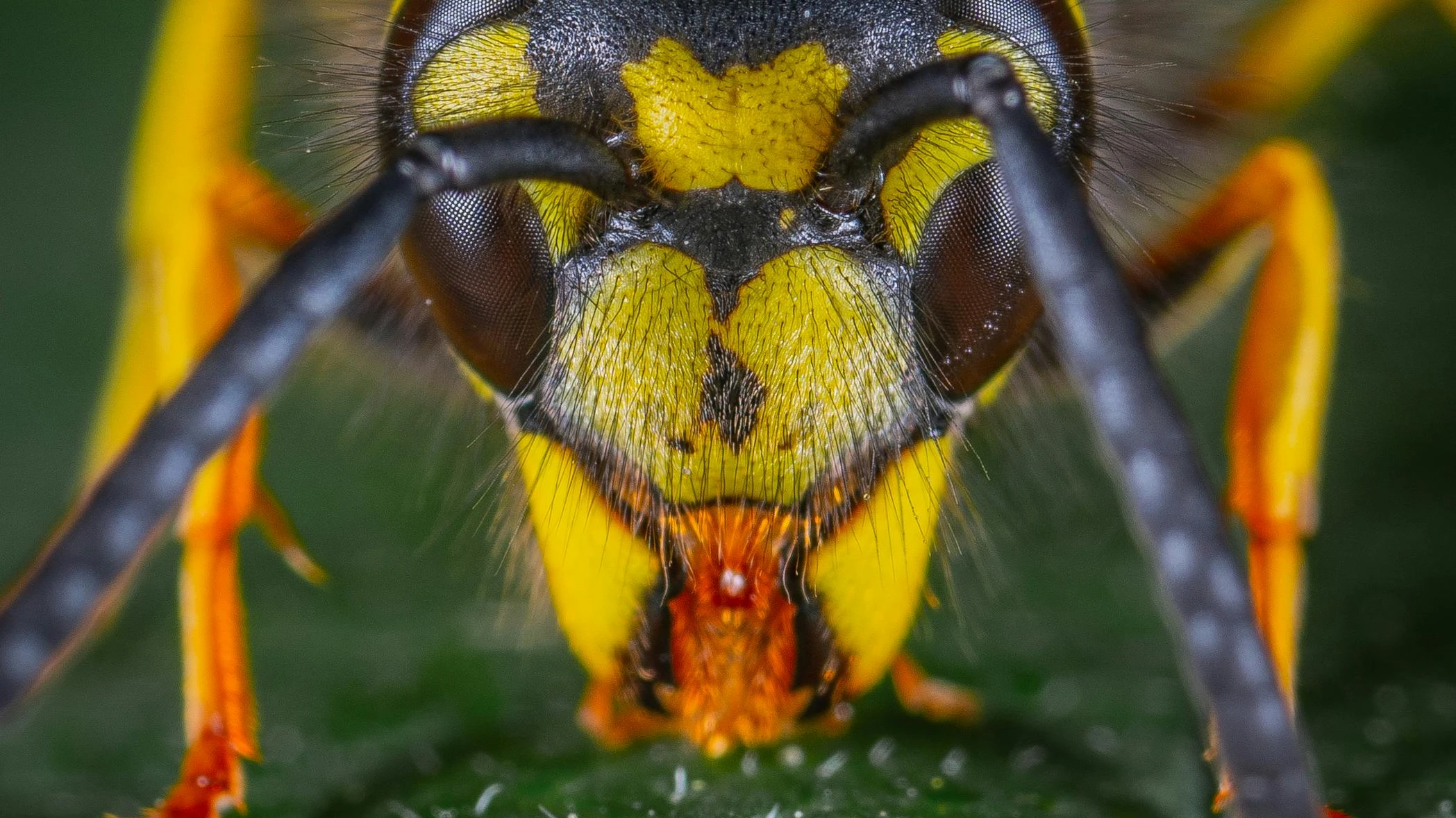 © Egor Kamelev © Egor Kamelev