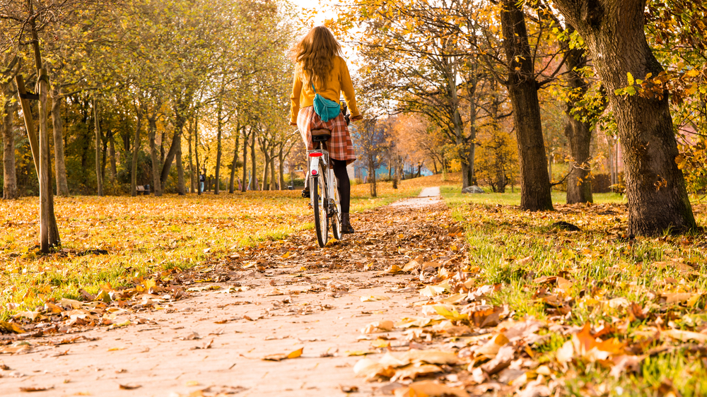 Herbst, © Shutterstock