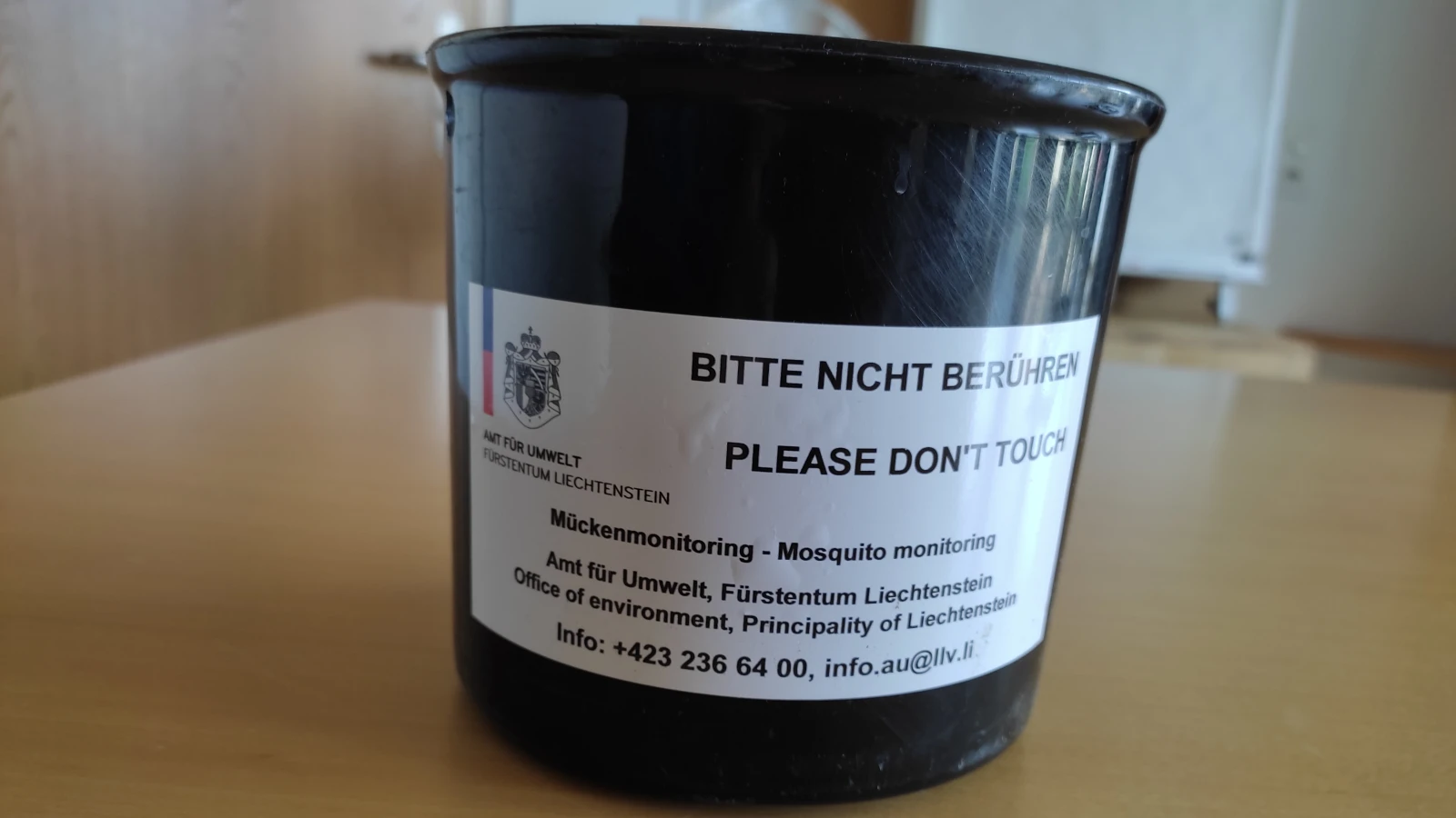 So viele asiatische Buschmückeneier wie noch nie, © Radio Liechtenstein So viele asiatische Buschmückeneier wie noch nie, © Radio Liechtenstein