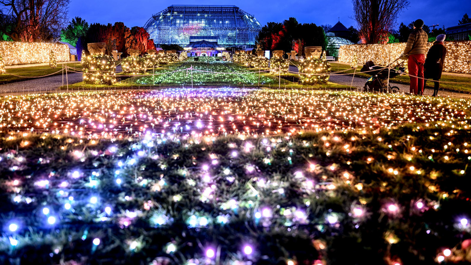 Berlin Botanik Bahçesi ışıl ışıl: “Christmas Garden” 19 Kasım’da kapılarını açıyor, © Britta Pedersen/dpa
