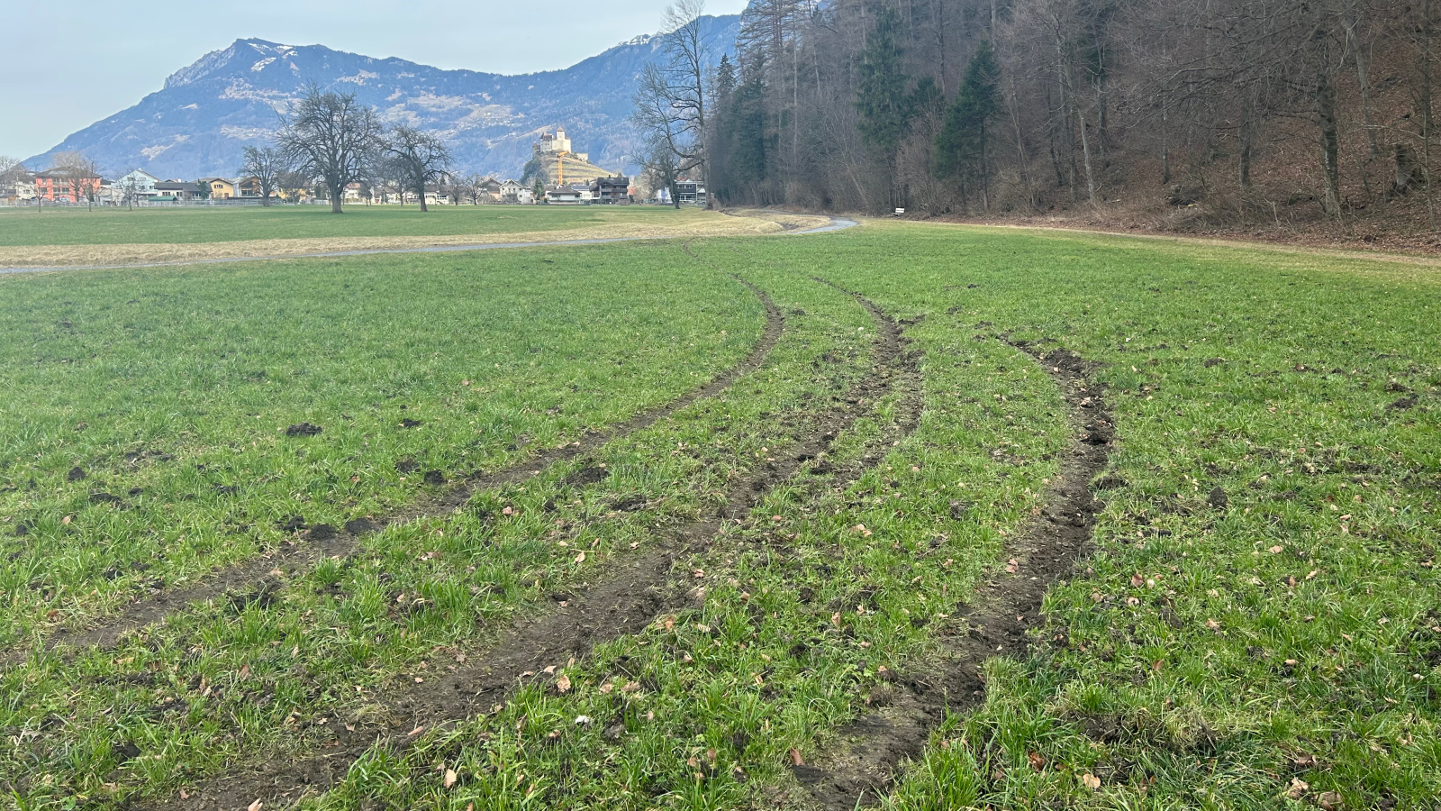 Flurschäden in Balzers durch driftendes Fahrzeug, © Landespolizei Liechtenstein