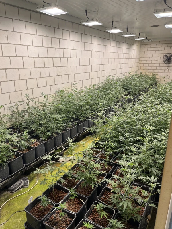 © Polizei BL © Polizei BL