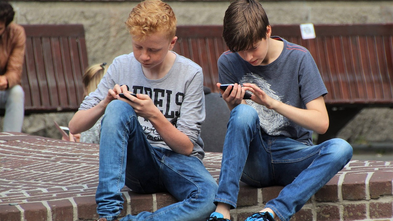 Verantwortungsbewusste Nutzung von Handys in Schulen, © natureaddict/Pixabay