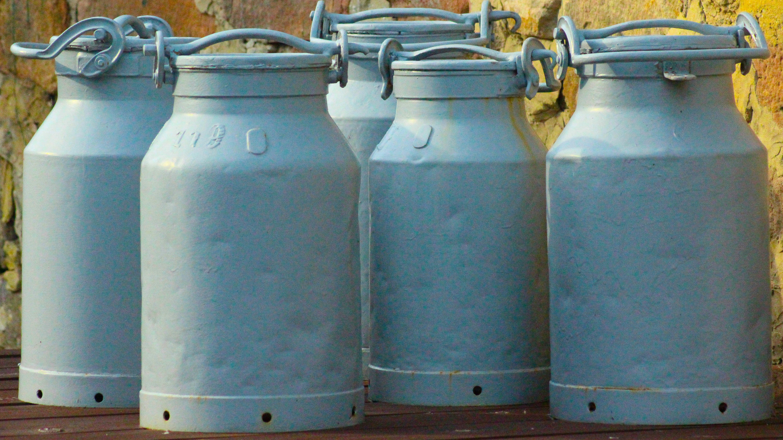 Sorgen bei Guy Parmelin wegen Milchpreis, © Unsplash/Vanessa Schulze