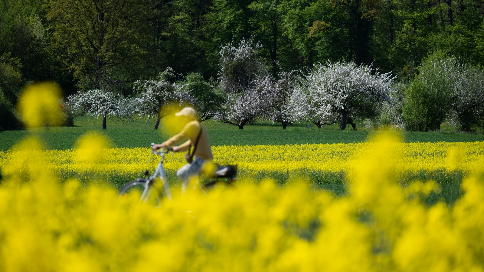 1 Mayıs’ta Baden-Württemberg’de Yaz Havası: Dikkat Edilmesi Gerekenler, © Marijan Murat/dpa 1 Mayıs’ta Baden-Württemberg’de Yaz Havası: Dikkat Edilmesi Gerekenler, © Marijan Murat/dpa