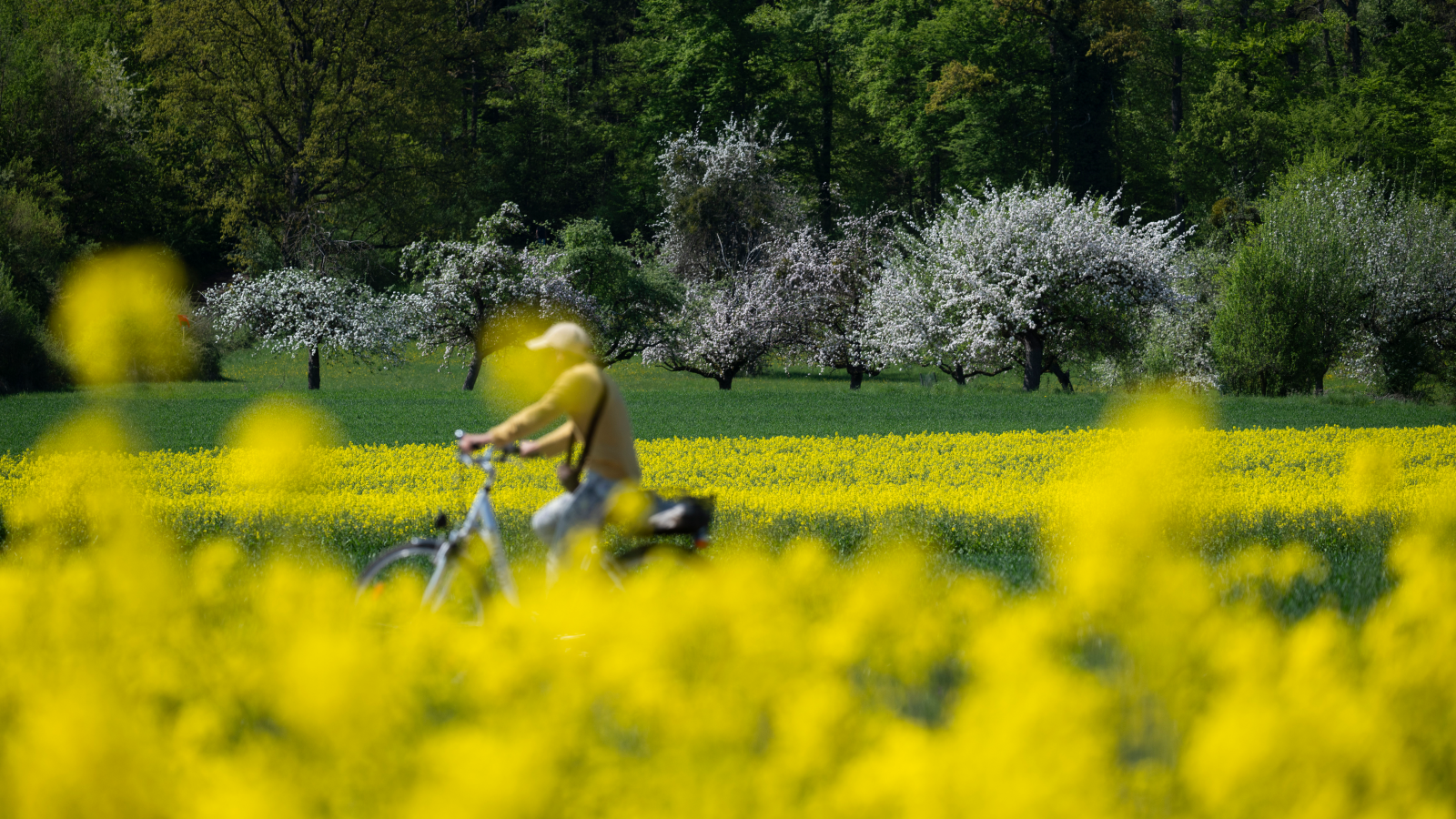1 Mayıs’ta Baden-Württemberg’de Yaz Havası: Dikkat Edilmesi Gerekenler, © Marijan Murat/dpa 
