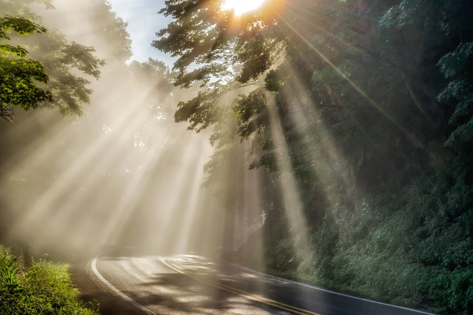 Tief stehende Sonne, Nebel & rutschige Straßen: So fahrt ihr sicher im Herbst, © Malachi Jacobs, Shutterstock