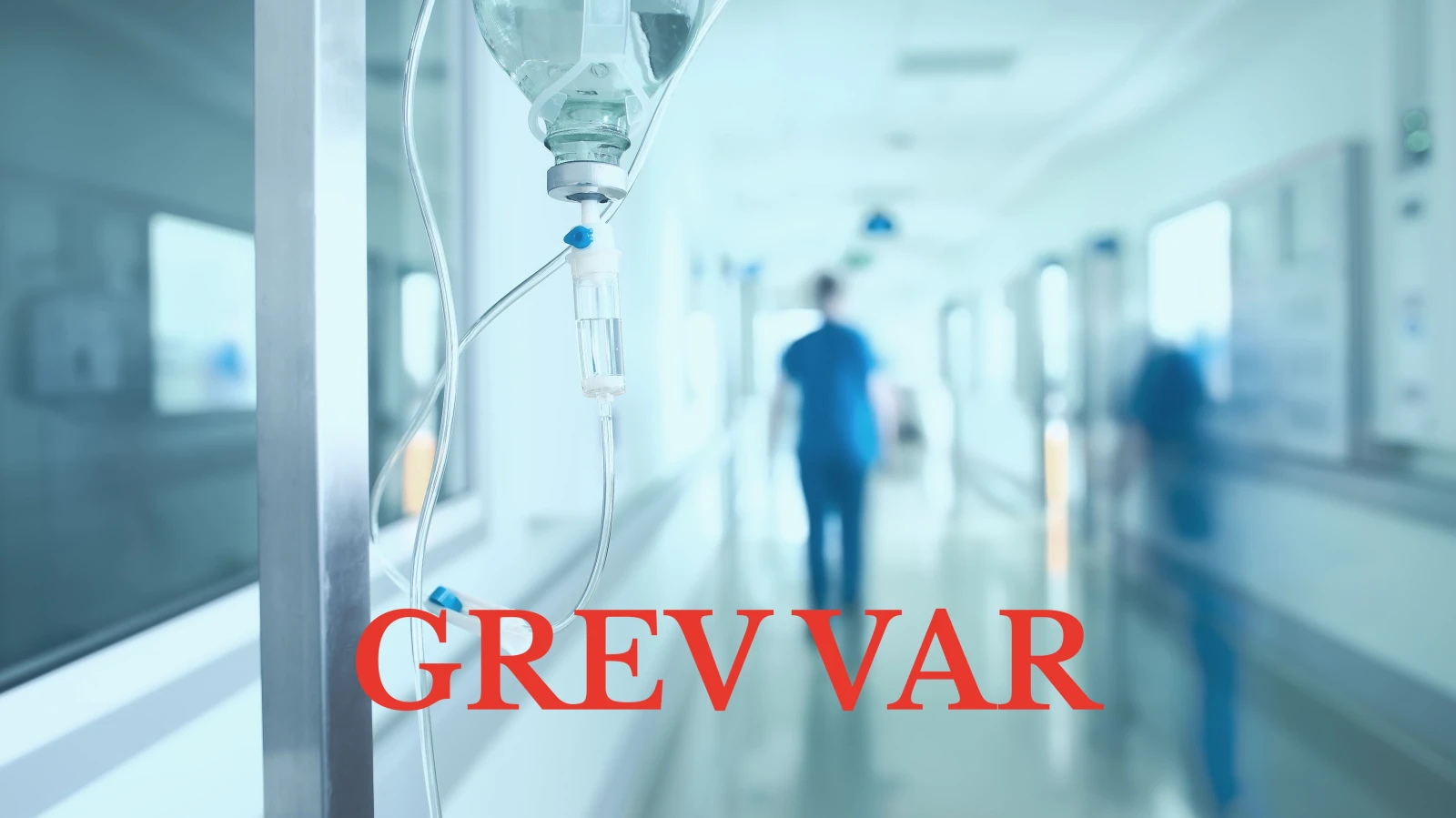 Grev var, © Shutterstock Grev var, © Shutterstock