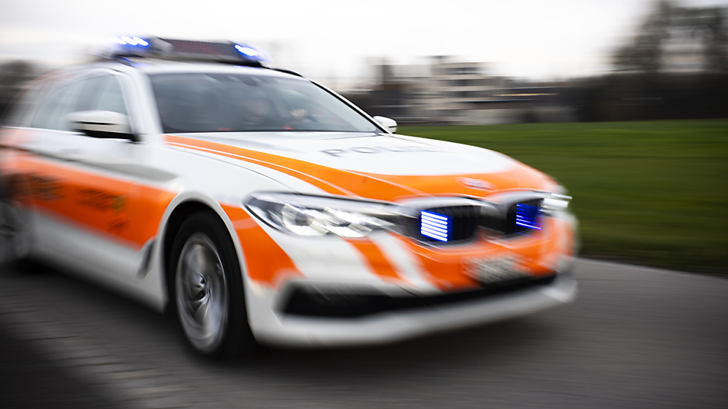 Einbruchserie im St. Galler Rheintal, © Kantonspolizei St. Gallen