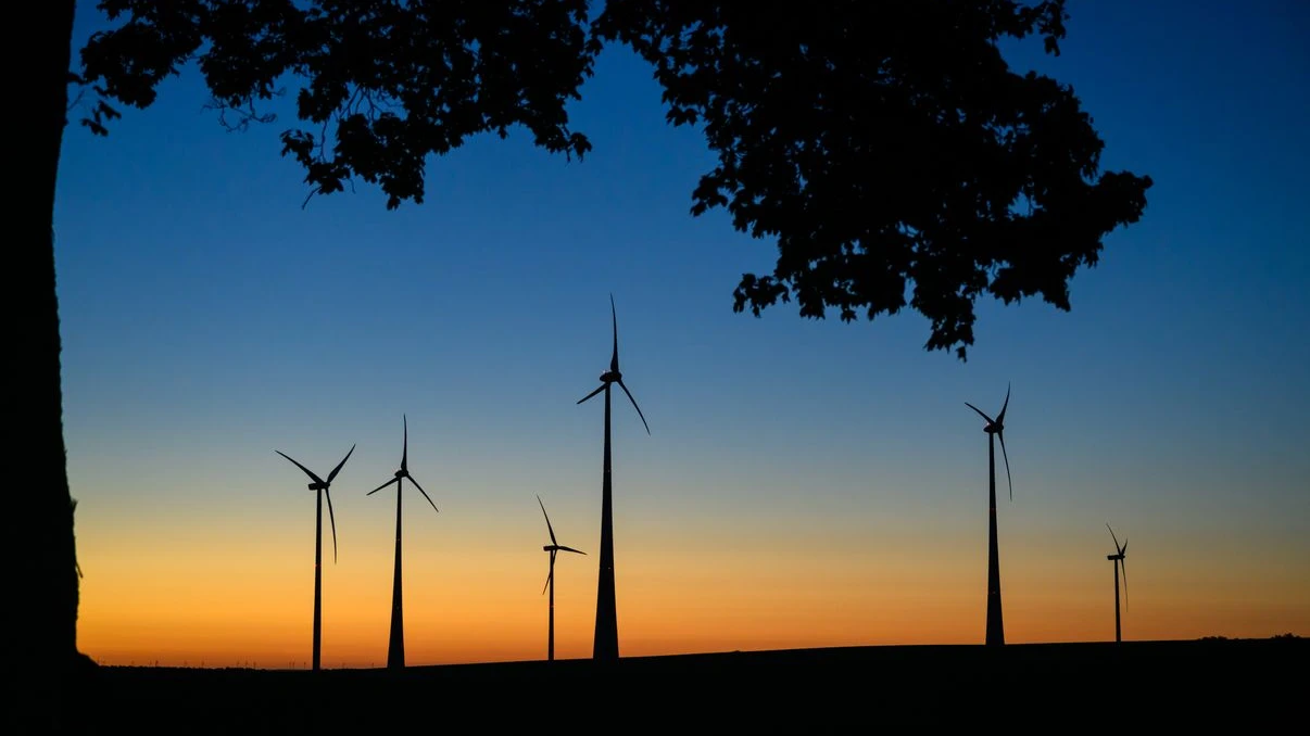 Hamburg Üniversitesi’nden iklim raporu: “Siyaset yeterince harekete geçmiyor”, © Patrick Pleul/dpa Hamburg Üniversitesi’nden iklim raporu: “Siyaset yeterince harekete geçmiyor”, © Patrick Pleul/dpa