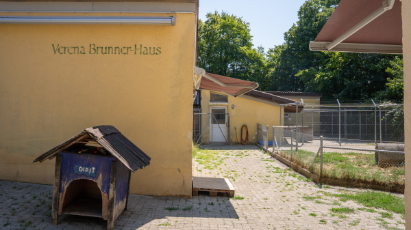 Medizinische Abläufe im Tierheim Buchbrunnen, © Radio Munot