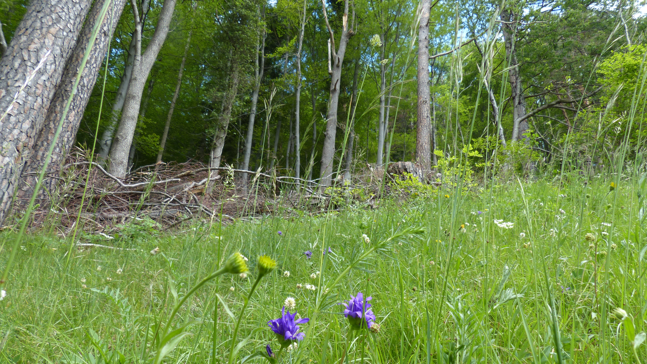 © Ökobüro Weber & Frei AG