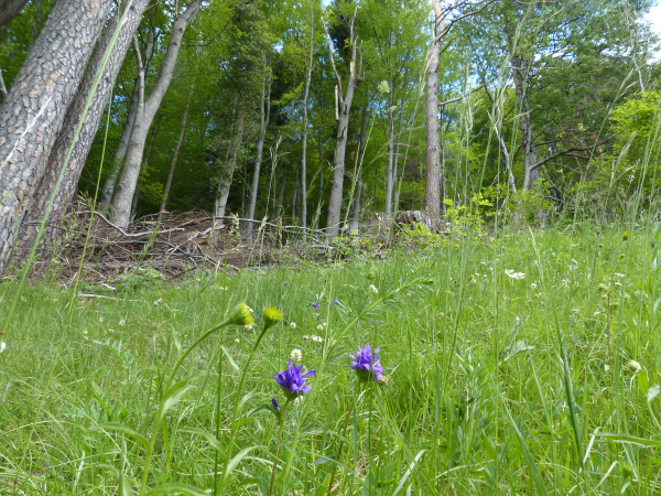 © Ökobüro Weber & Frei AG