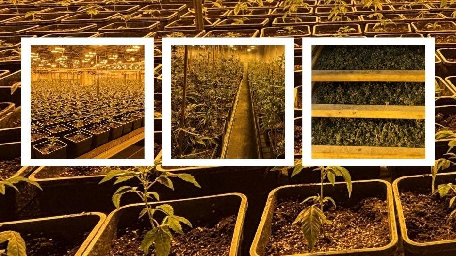 © zVg. Kantonspolizei Zürich © zVg. Kantonspolizei Zürich