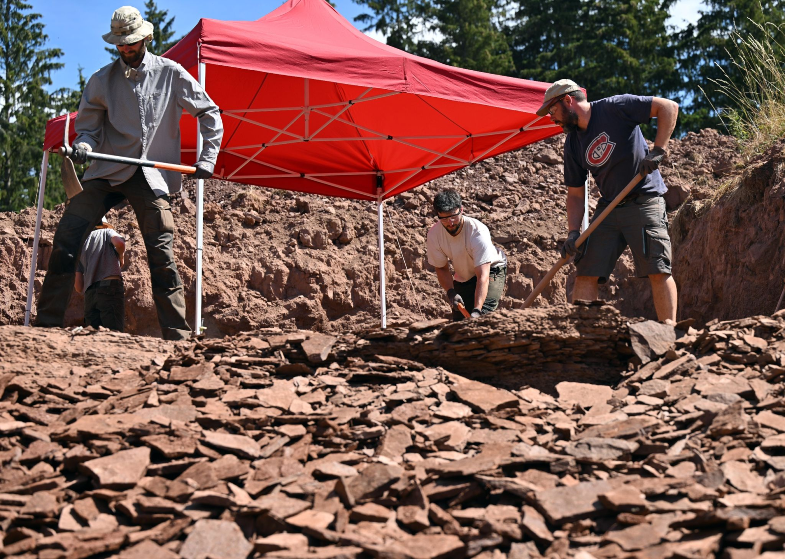 An der Fossillagerstätte Bromacker im Thüringer Wald wurde in diesem Sommer wieder gegraben.