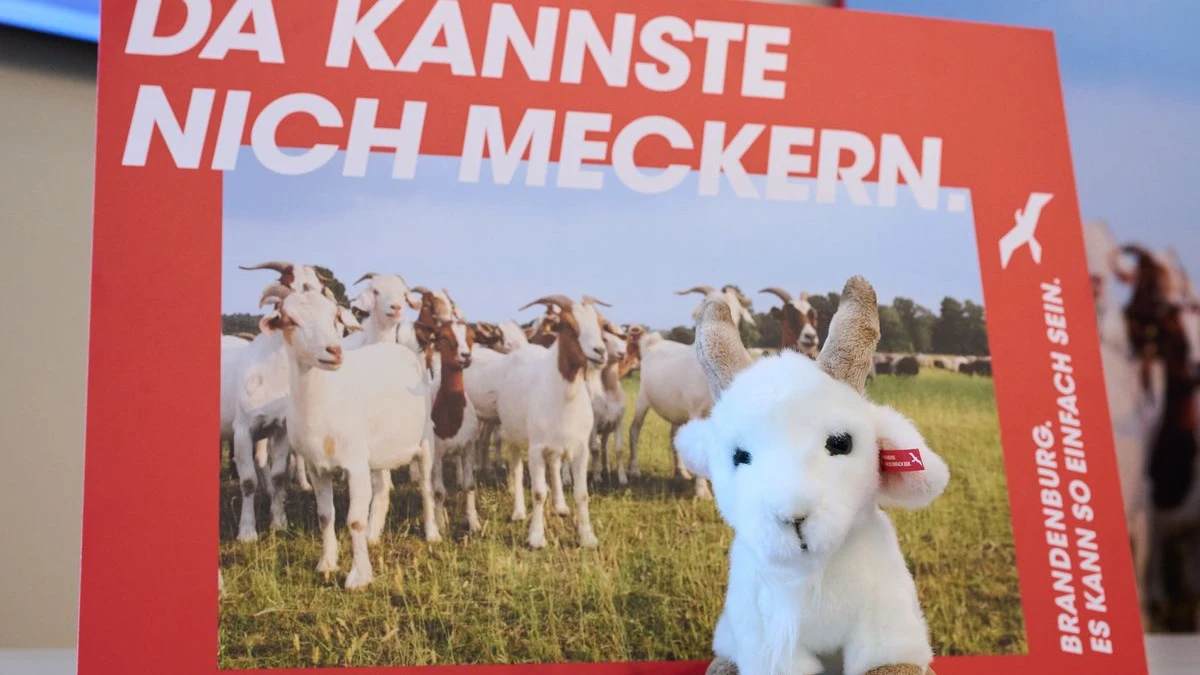 Neden Bazı İnsanlar Sürekli Şikâyet Eder?, © Annette Riedl/dpa Neden Bazı İnsanlar Sürekli Şikâyet Eder?, © Annette Riedl/dpa