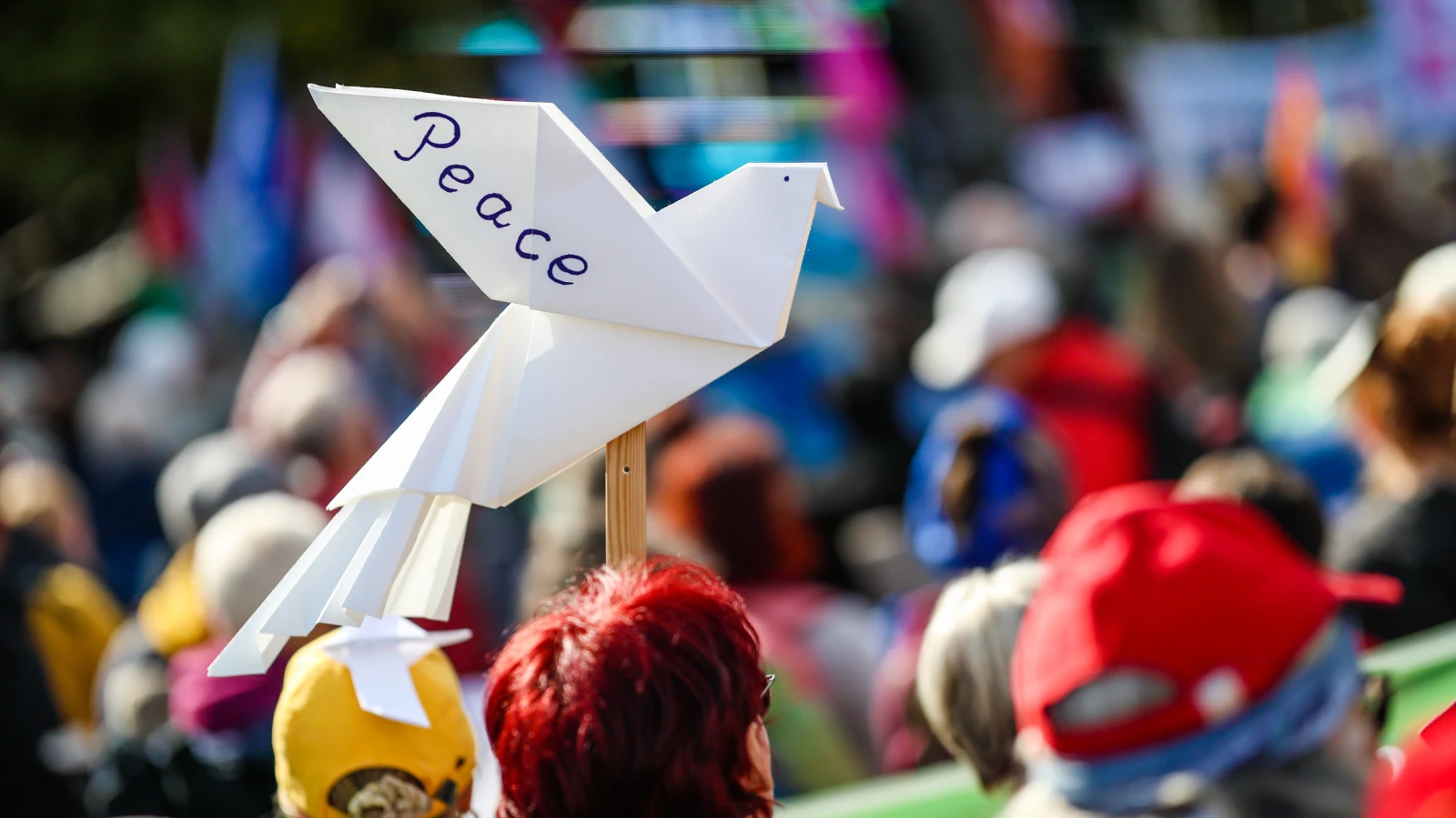 'Barış İşareti' İçin Dünya Rekoru Denemesi, © Christoph Schmidt/dpa 'Barış İşareti' İçin Dünya Rekoru Denemesi, © Christoph Schmidt/dpa