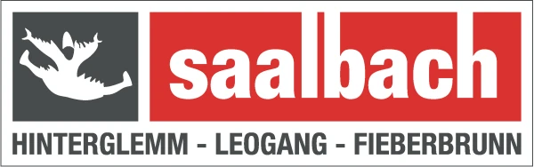 Logo 4