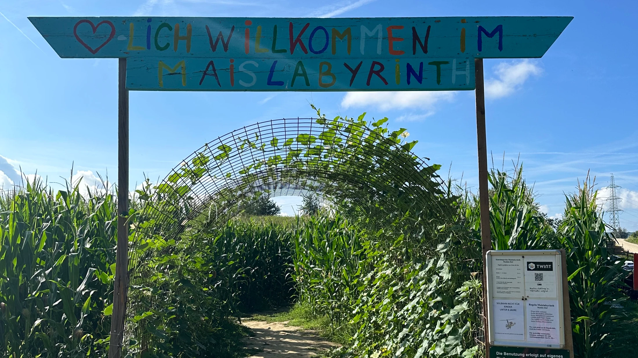 Maislabyrinth Mathis Hof Bottmingen Mais, © Basilisk Maislabyrinth Mathis Hof Bottmingen Mais, © Basilisk