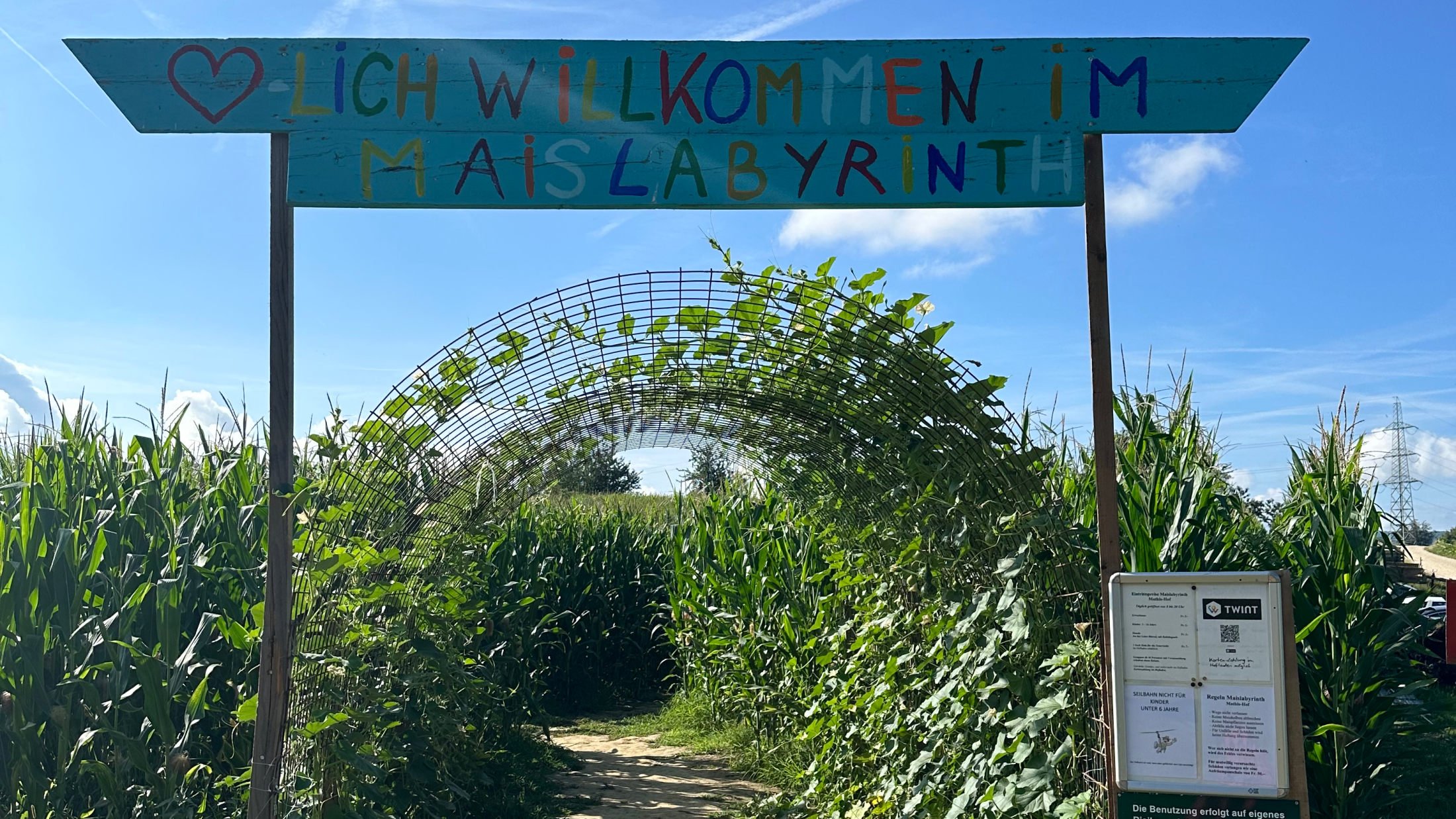 Maislabyrinth Mathis Hof Bottmingen Mais, © Basilisk