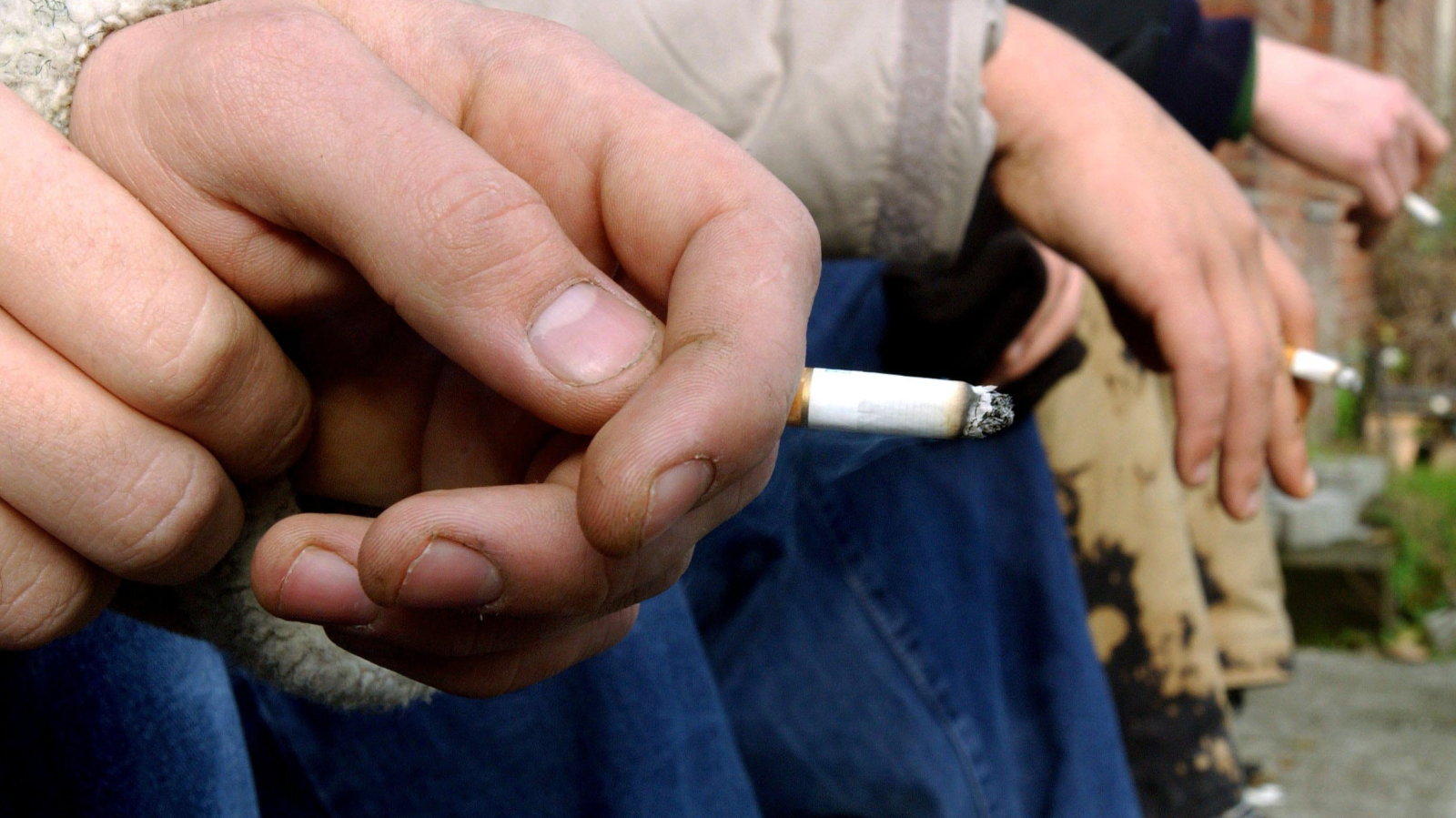 Bremenli Gençler Artık Daha Az Esrar İçiyor, Ama İnternete Daha Bağımlı!, © Patrick Pleul/Zentralbild/dpa