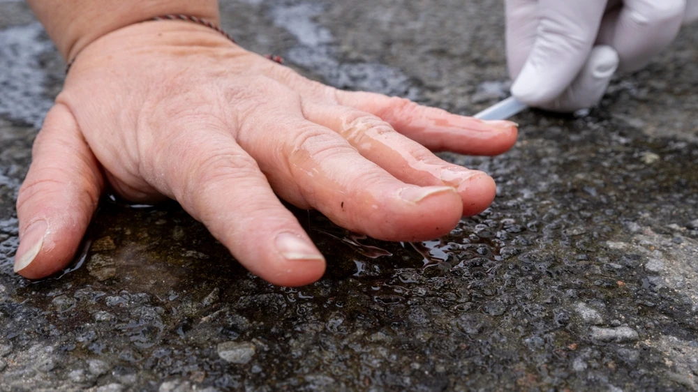 Berlin’de İklim Aktivistlerinin Davaları Sürüyor!, © shutterstock Berlin’de İklim Aktivistlerinin Davaları Sürüyor!, © shutterstock
